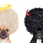 Common Mistakes in newsletters