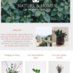 SMB newsletter example