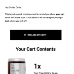 abandoned cart email example email