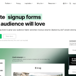 MailerLite homepage screenshot